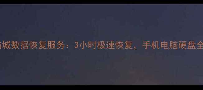 图片 国储电脑城数据恢复服务：3小时极速恢复，手机电脑硬盘全搞定！2
