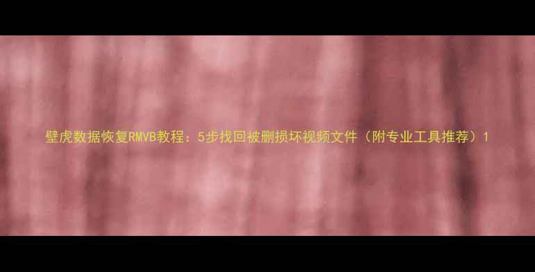 图片 壁虎数据恢复RMVB教程：5步找回被删损坏视频文件（附专业工具推荐）1