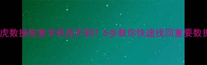 壁虎数据恢复手机找不到5步教你快速找回重要数据