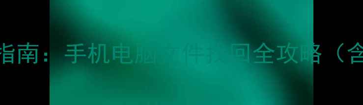 壁虎数据恢复终极指南手机电脑文件找回全攻略含专业版操作教程