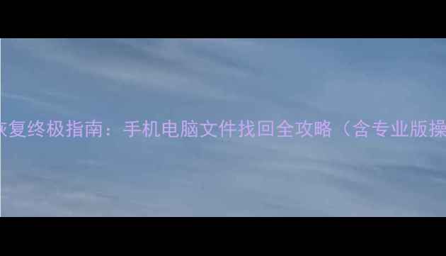 图片 壁虎数据恢复终极指南：手机电脑文件找回全攻略（含专业版操作教程）2