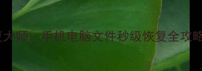 多啦西西数据恢复大师手机电脑文件秒级恢复全攻略附实战案例