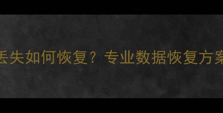 图片 大众ID6数据丢失如何恢复？专业数据恢复方案及注意事项2