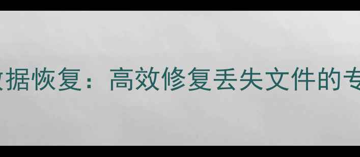 图片 大华监控盘数据恢复：高效修复丢失文件的专业服务指南1