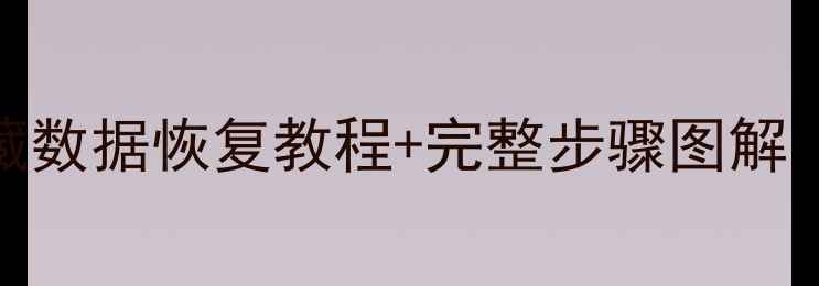 图片 大将军经典版隐藏数据恢复教程+完整步骤图解（附防丢失指南）