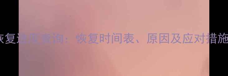 大数据恢复进度查询恢复时间表原因及应对措施全指南