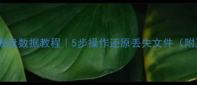 大白菜恢复硬盘数据教程5步操作还原丢失文件附工具下载