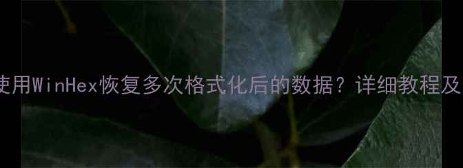 如何使用WinHex恢复多次格式化后的数据详细教程及步骤