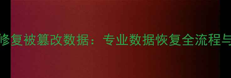 如何彻底修复被篡改数据专业数据恢复全流程与工具指南