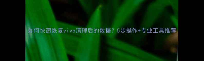 图片 如何快速恢复vivo清理后的数据？5步操作+专业工具推荐