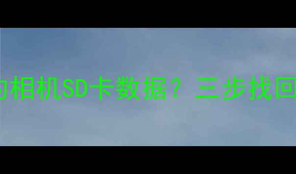 图片 如何恢复被删除的相机SD卡数据？三步找回误删照片全攻略2