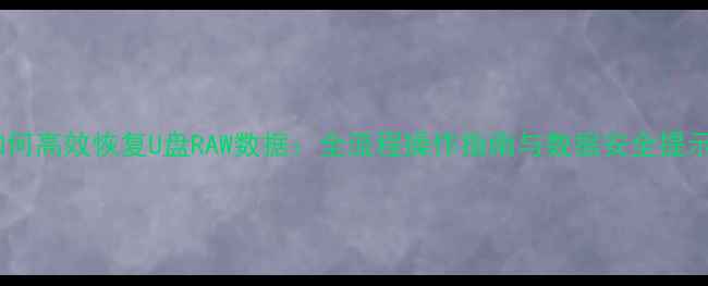 图片 如何高效恢复U盘RAW数据：全流程操作指南与数据安全提示1