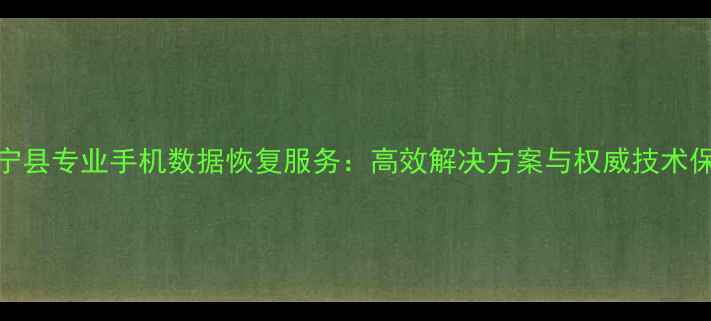 威宁县专业手机数据恢复服务高效解决方案与权威技术保障