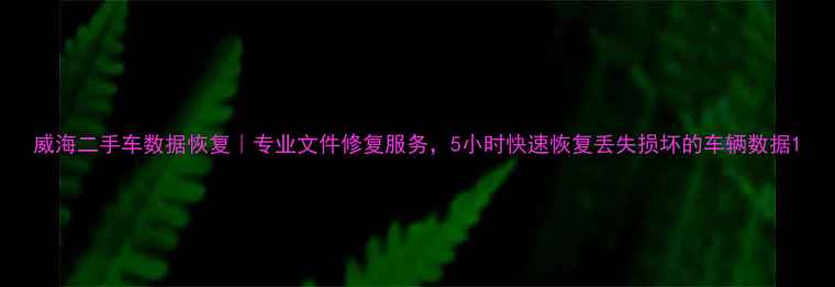 图片 威海二手车数据恢复｜专业文件修复服务，5小时快速恢复丢失损坏的车辆数据1