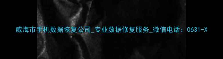 图片 威海市手机数据恢复公司_专业数据修复服务_微信电话：0631-X