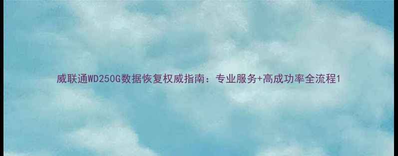 图片 威联通WD250G数据恢复权威指南：专业服务+高成功率全流程1