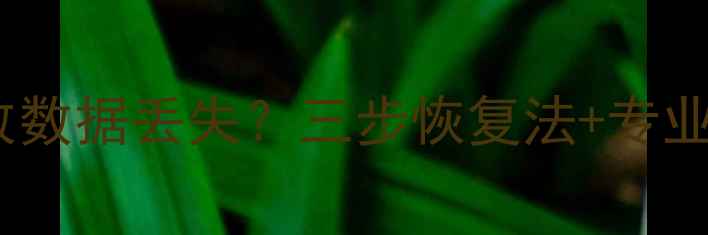 图片 存储卡反复读写导致数据丢失？三步恢复法+专业技巧全（附案例）1
