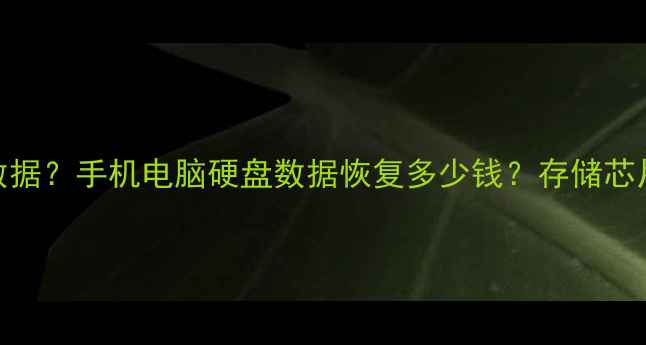 图片 存储芯片打磨恢复数据？手机电脑硬盘数据恢复多少钱？存储芯片数据恢复技术全！