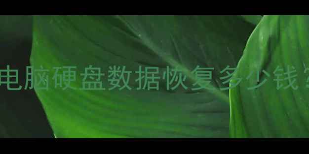 存储芯片打磨恢复数据手机电脑硬盘数据恢复多少钱存储芯片数据恢复技术全