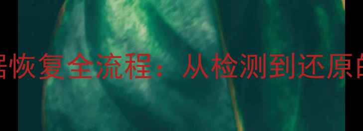 图片 宁德市智能数据恢复全流程：从检测到还原的7步高效方案1