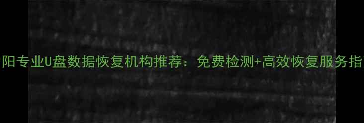 图片 宁阳专业U盘数据恢复机构推荐：免费检测+高效恢复服务指南