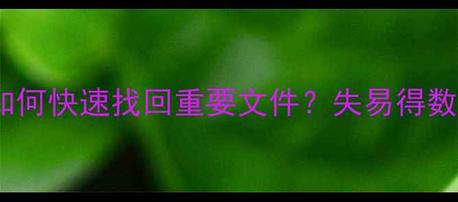 图片 安卓手机数据丢失全攻略：如何快速找回重要文件？失易得数据恢复软件测评与使用教程2