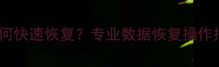 图片 官方误删数据如何快速恢复？专业数据恢复操作指南与工具推荐1