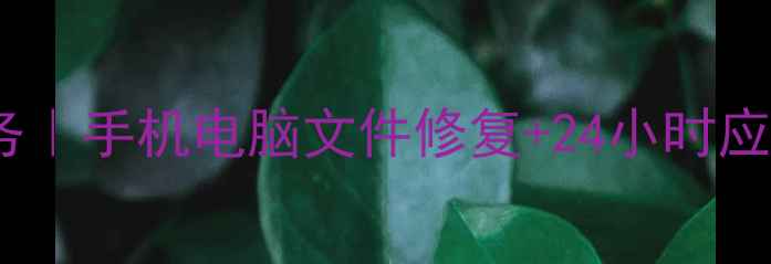 图片 宝丰县专业数据恢复服务｜手机电脑文件修复+24小时应急支持｜免费电话咨询1