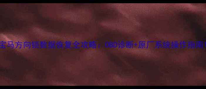 图片 宝马方向锁数据恢复全攻略：OBD诊断+原厂系统操作指南1