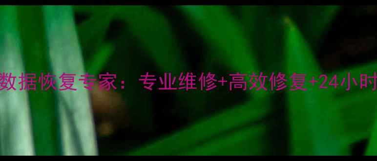 图片 宝鸡执法仪数据恢复专家：专业维修+高效修复+24小时应急服务全
