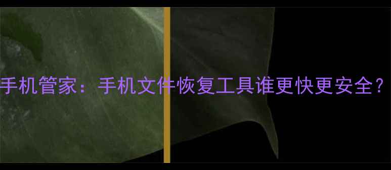 图片 实测爱思助手vs手机管家：手机文件恢复工具谁更快更安全？附详细对比教程