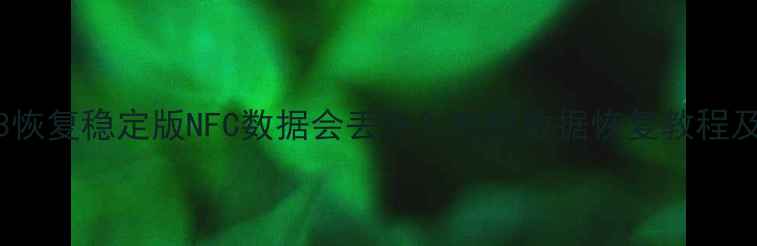 图片 小米111213恢复稳定版NFC数据会丢失？完整数据恢复教程及预防指南1