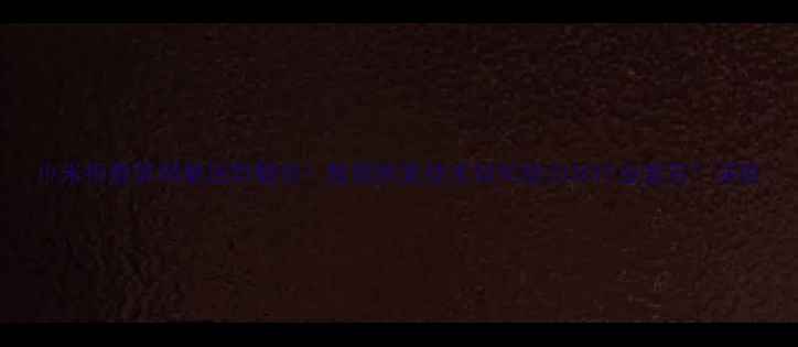 小米折叠屏销量逆势翻倍数据恢复技术如何助力3C行业复苏深度