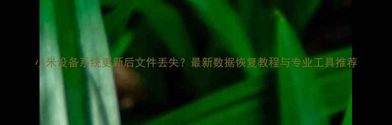 图片 小米设备系统更新后文件丢失？最新数据恢复教程与专业工具推荐