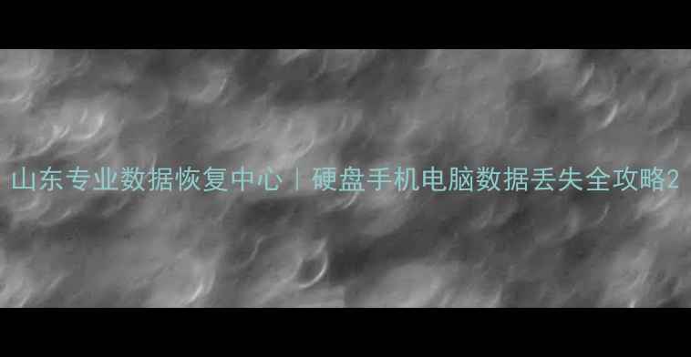 图片 山东专业数据恢复中心｜硬盘手机电脑数据丢失全攻略2