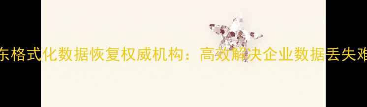 图片 山东格式化数据恢复权威机构：高效解决企业数据丢失难题