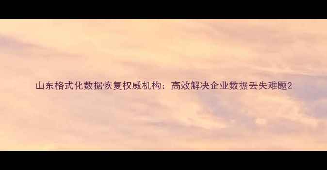 山东格式化数据恢复权威机构高效解决企业数据丢失难题