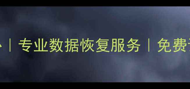 图片 山东电脑数据恢复中心｜专业数据恢复服务｜免费诊断｜24小时应急修复