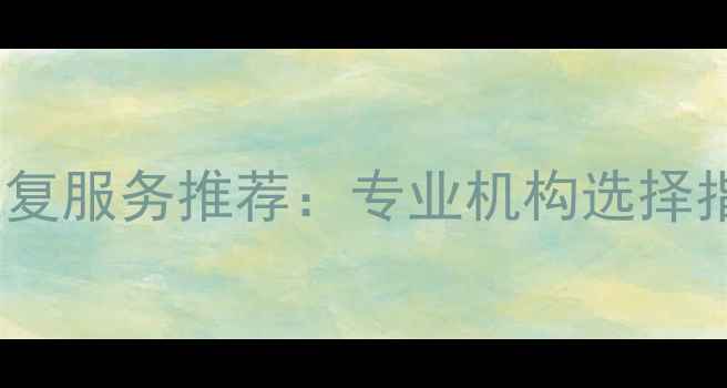 图片 嵩明手机数据恢复服务推荐：专业机构选择指南与注意事项2