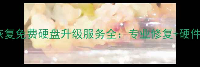 图片 希捷数据恢复免费硬盘升级服务全：专业修复+硬件置换指南1