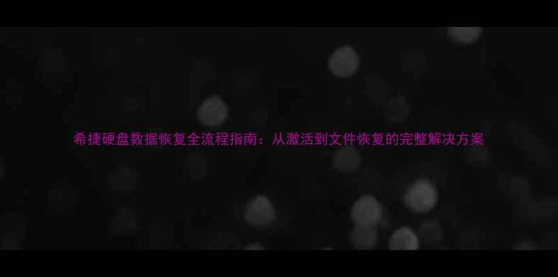 图片 希捷硬盘数据恢复全流程指南：从激活到文件恢复的完整解决方案