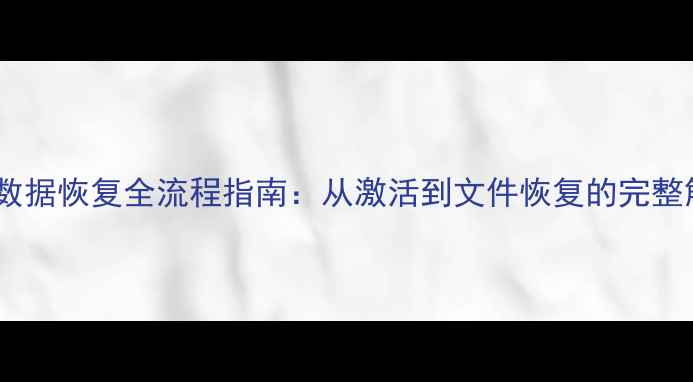 图片 希捷硬盘数据恢复全流程指南：从激活到文件恢复的完整解决方案1