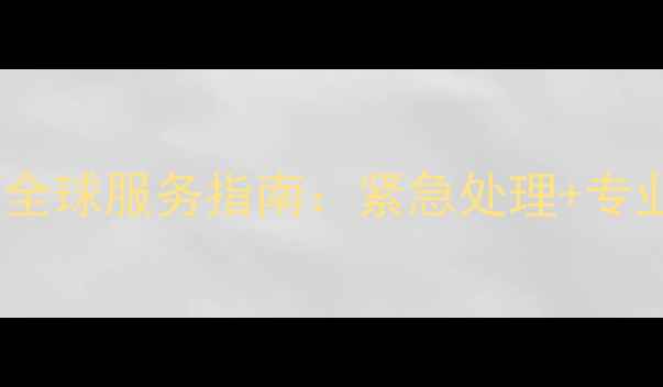 希捷硬盘数据恢复全球服务指南紧急处理专业团队多国案例全
