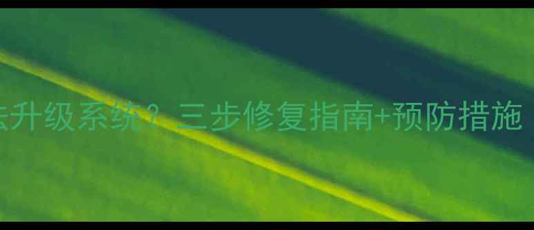 图片 平板数据恢复后无法升级系统？三步修复指南+预防措施（含专业工具推荐）