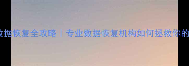 平谷存储卡数据恢复全攻略专业数据恢复机构如何拯救你的珍贵回忆