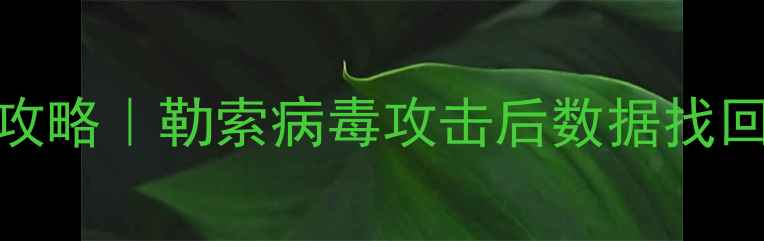 图片 平阴县电脑文件恢复全攻略｜勒索病毒攻击后数据找回四步法+专业修复服务1