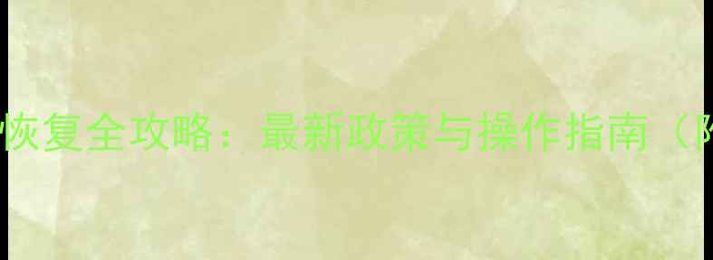 广东个税数据恢复全攻略最新政策与操作指南附官方流程