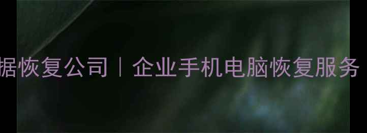 图片 广东正大专业数据恢复公司｜企业手机电脑恢复服务｜3小时极速修复