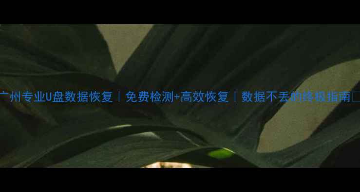 图片 广州专业U盘数据恢复｜免费检测+高效恢复｜数据不丢的终极指南🔥