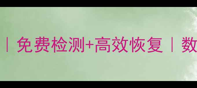 广州专业U盘数据恢复免费检测高效恢复数据不丢的终极指南